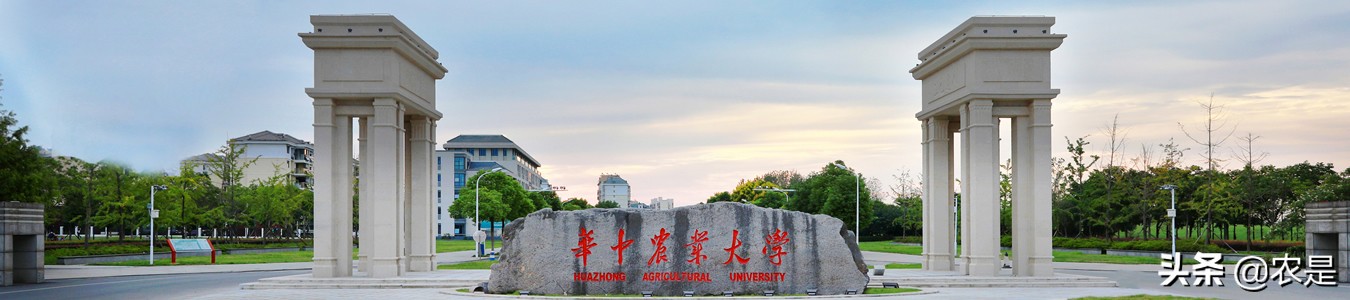 梅洁，教授、博士，华中农业大学，水产养殖专家