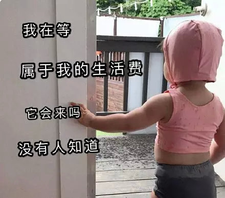 向父母讨钱的表情包合集｜妈，给点钱呗