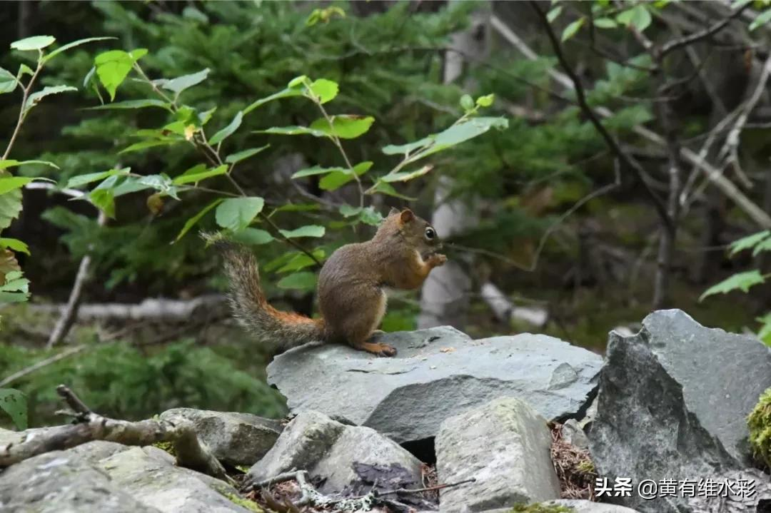 用一杯咖啡的时间，领悟自然之美