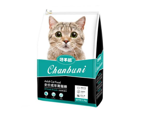 满月猫咪吃什么（分享新手的养猫必备指南）