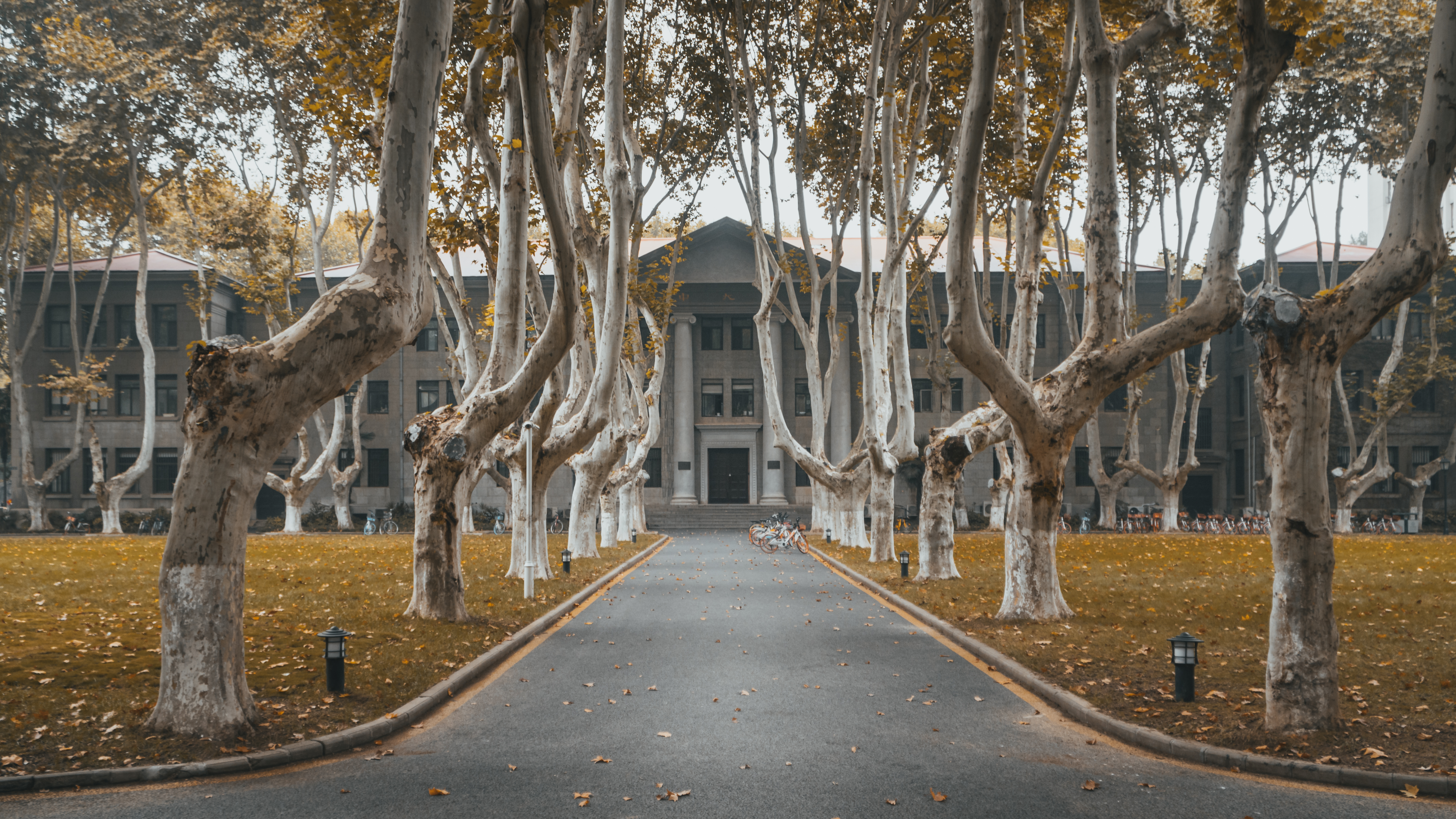 东南大学：我不是“福建大三本”