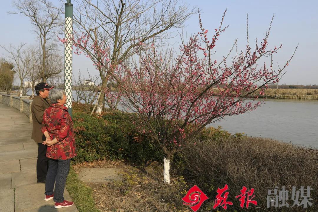 假期余额不足，苏州还有这十处美景值得打卡