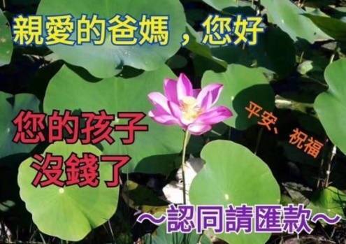 爸爸妈妈给点钱表情包大全