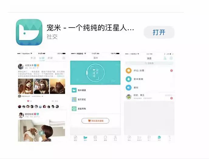 网红斜对面的老阳检测一次收一万，软文代理审核才发，卖猫狗粮