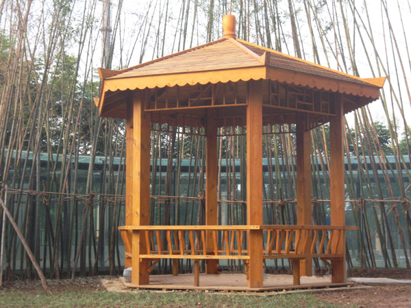 六角亭子图片大全(55款庭院木亭图片打包派送) - 赤虎壹号