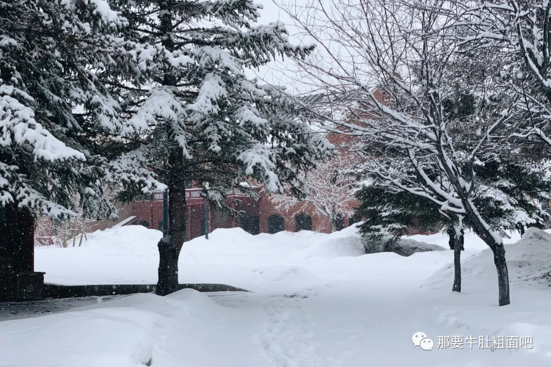 当大雪飞过那个小镇,我哪儿都不去 | 当我滑雪时我在想什么