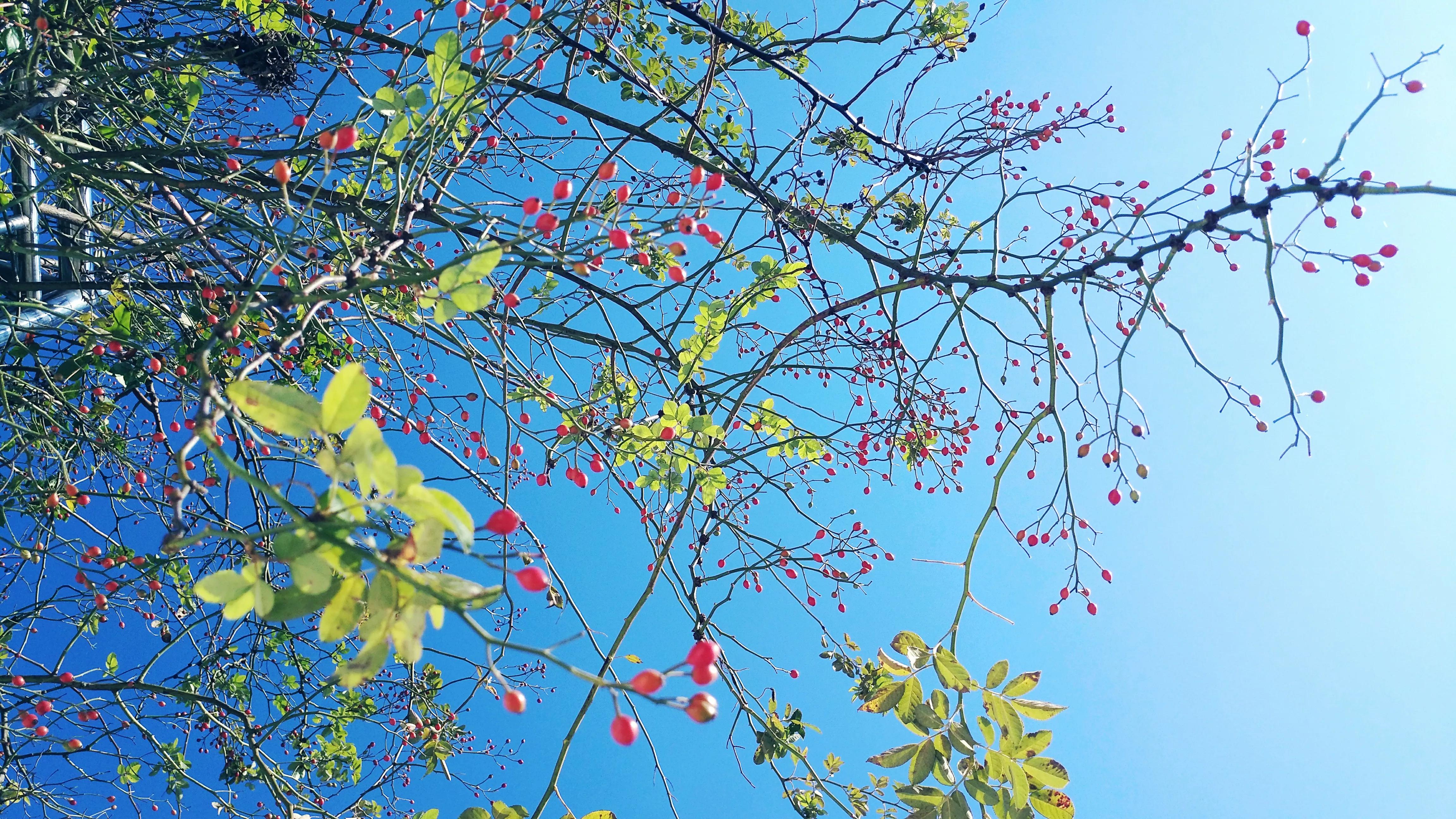 秋天好天气好心情的句子