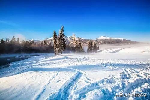 红墙，白雪，琉璃瓦，大雪压青松