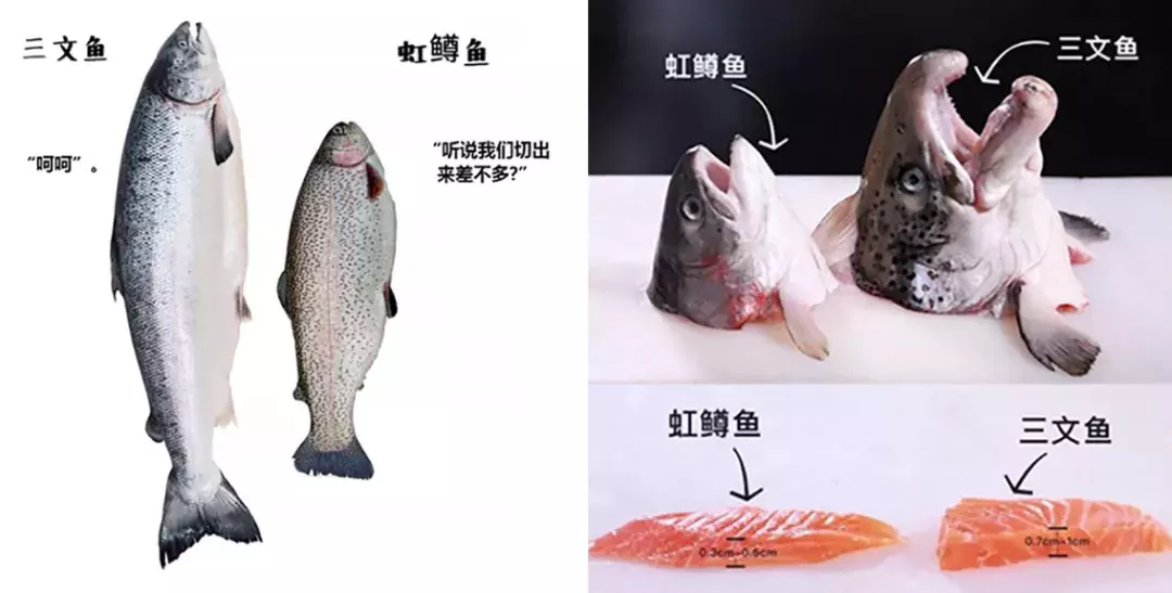 巴沙鱼你自己吃就行了，别给孩子吃