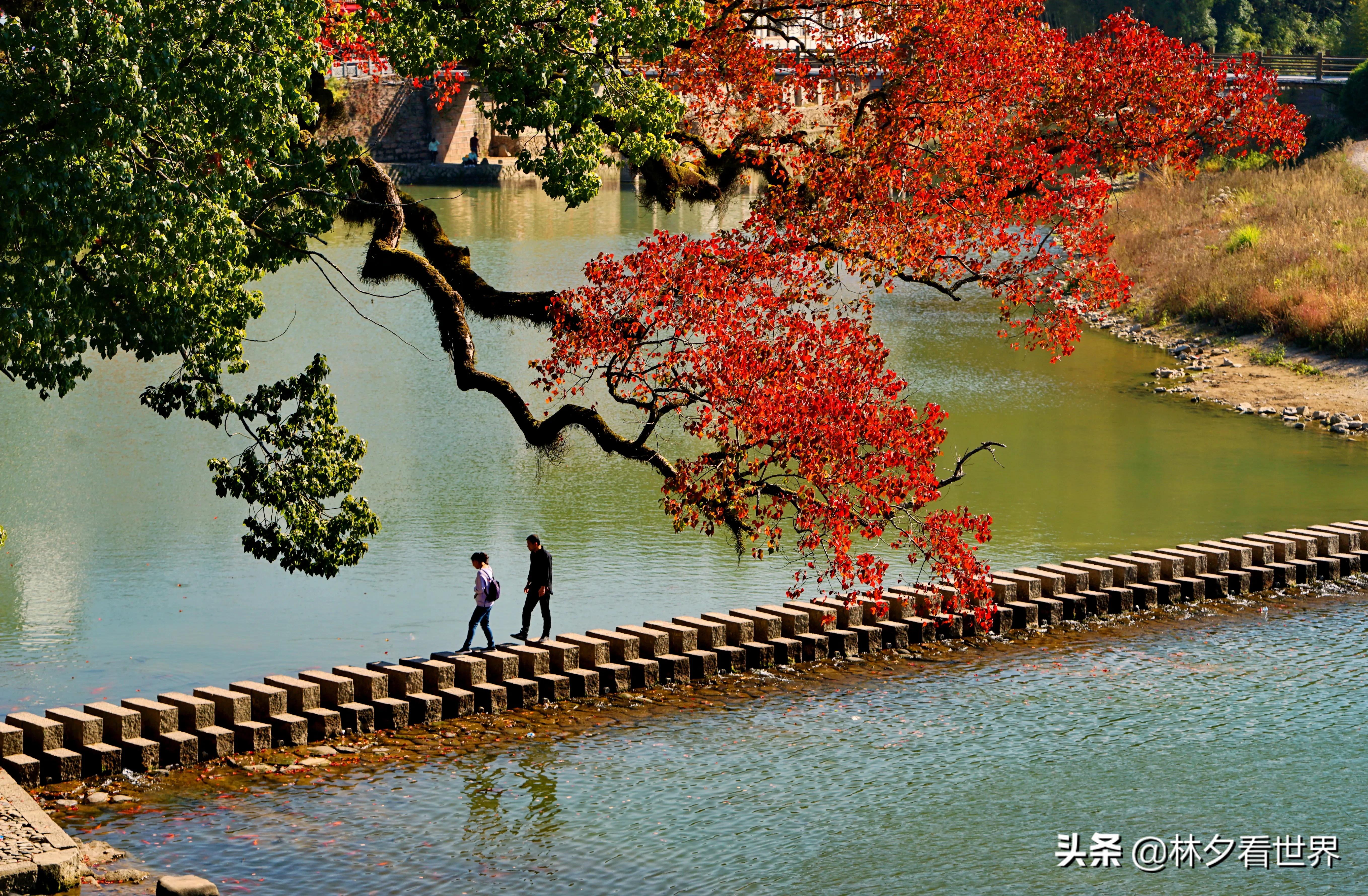 温州哪里好玩景点排名（温州市最好玩的6个景点）