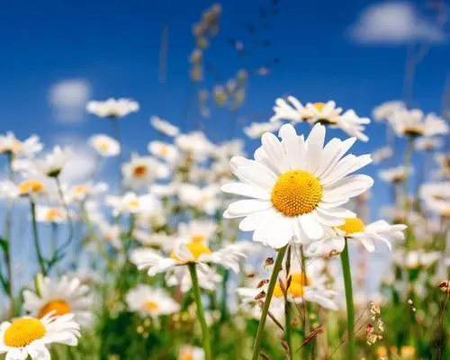 转需！河南大学研究生招生信息热点盘点