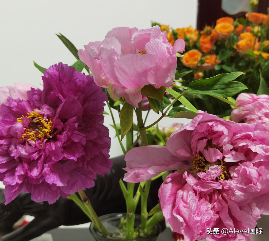 G5/牛剑录取必备：Alevel考试取得三个A*是不是很难？