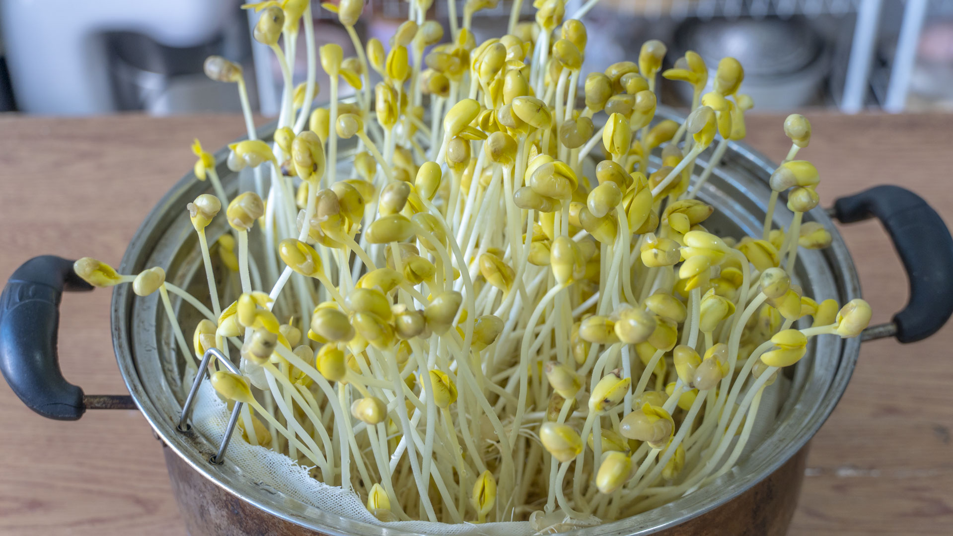 陽春3月，飲食宜“多素少肉”，建議吃6道當季菜，清淡鮮美又潤燥