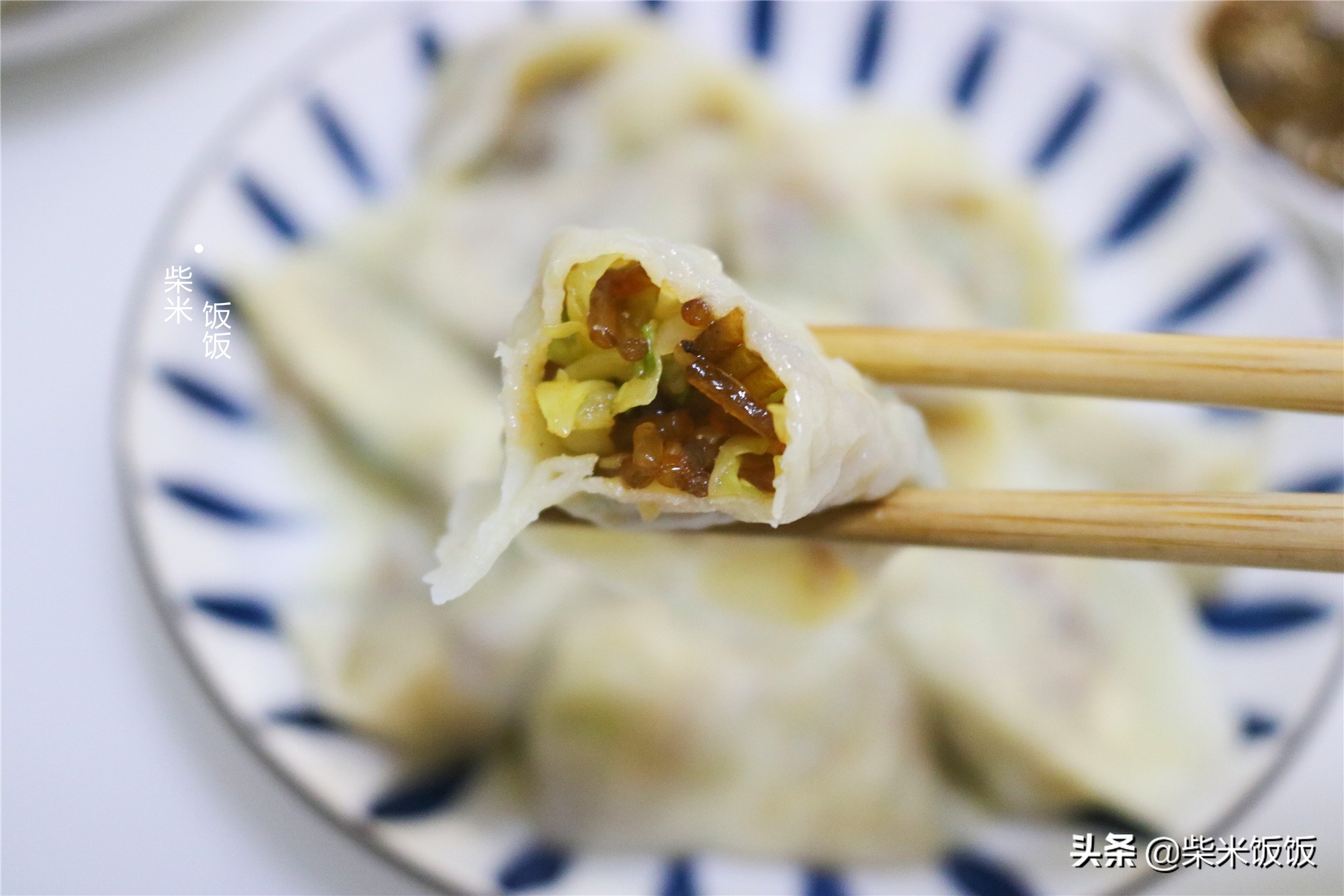 甘蓝馅饺子的做法大全（教你做一口满嘴都是汁的素馅饺子）