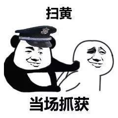 熊猫头警察系列表情包｜对不起，我是警察