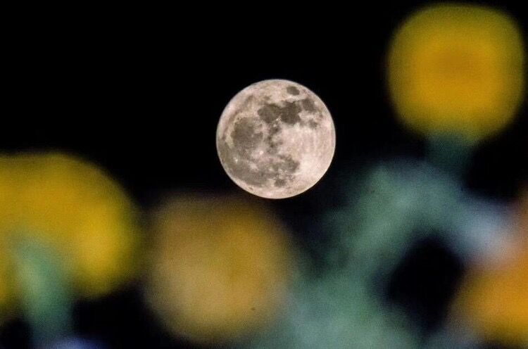 天上月，地上灯，身边人——月华今夜满，万家仰头看，元夕的思念