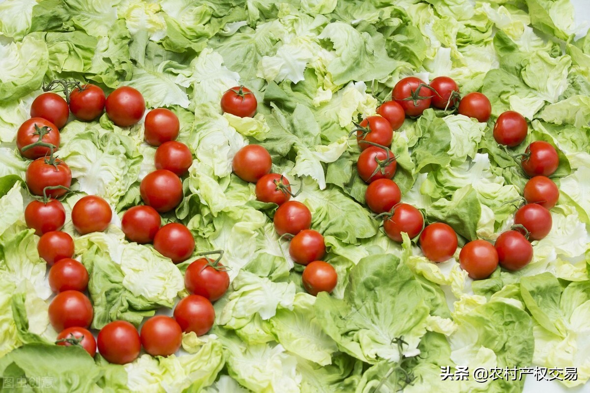 小投资办厂项目有哪些？这4个项目不愁销路