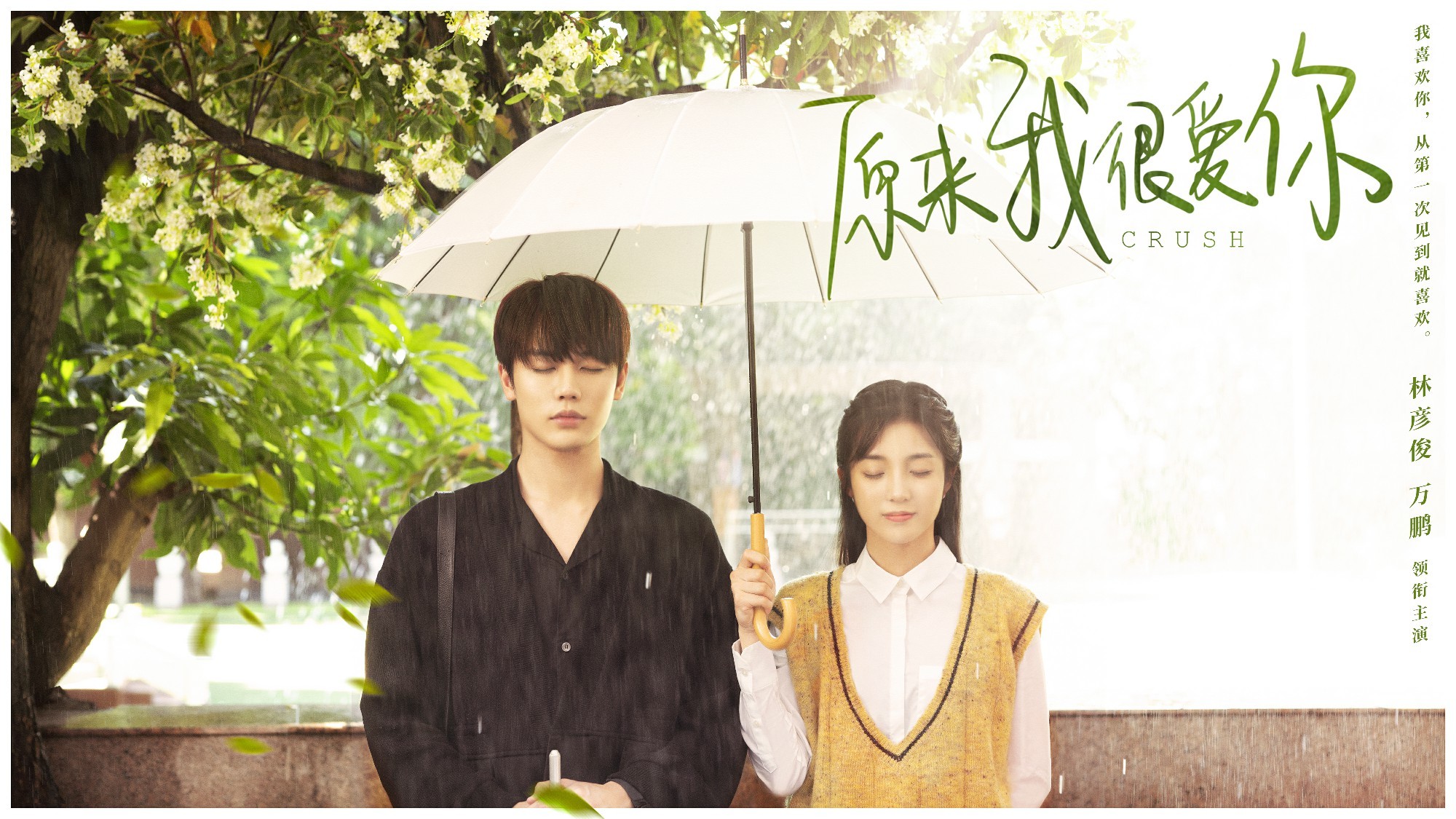 这些现象级偶像剧你们都追过吗？