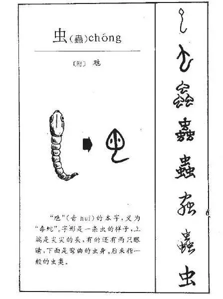 汉语中带虫字旁的字词，哪些是指昆虫的？