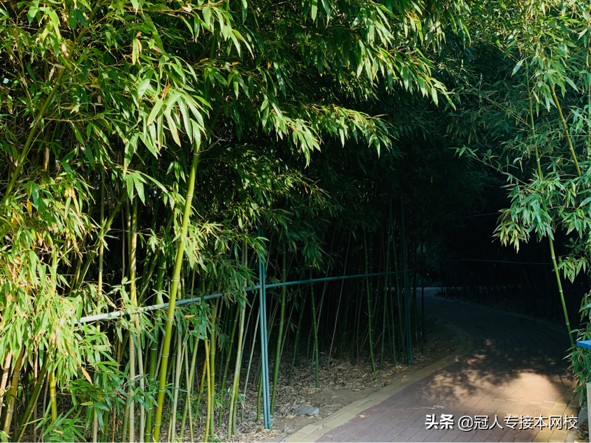 邯郸学院：公办招生人数排名第三的院校