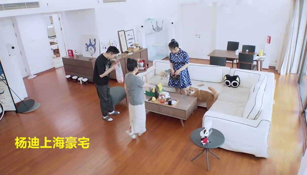 杨迪被曝买下“上海楼王”汤臣一品近亿豪宅，你怎么看？