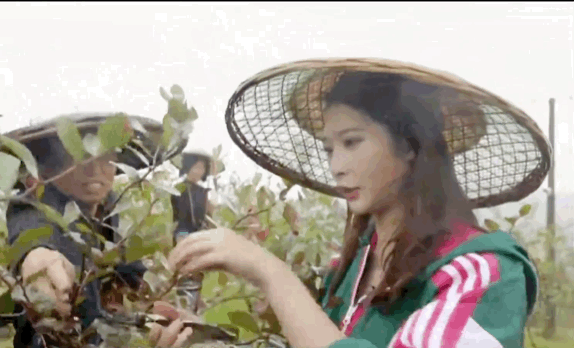 “她”力量为助农扶贫插上美丽翅膀