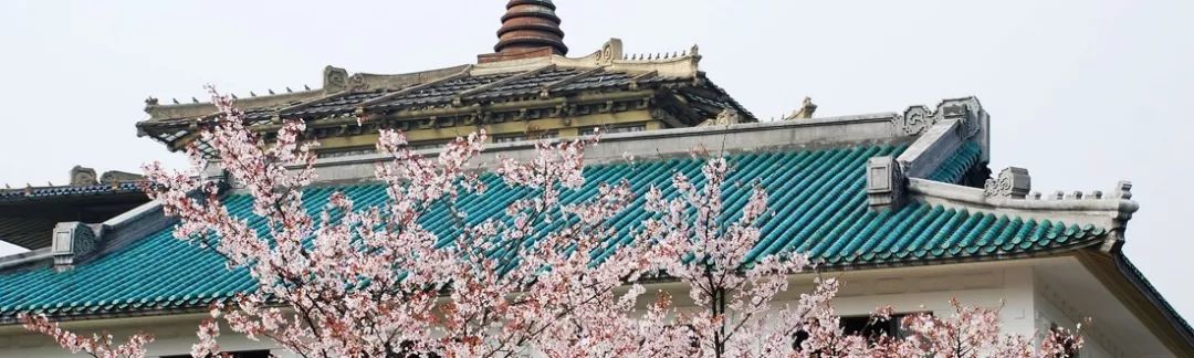 武汉大学的这个专业，中国排名第一，跻身世界专业排名50强