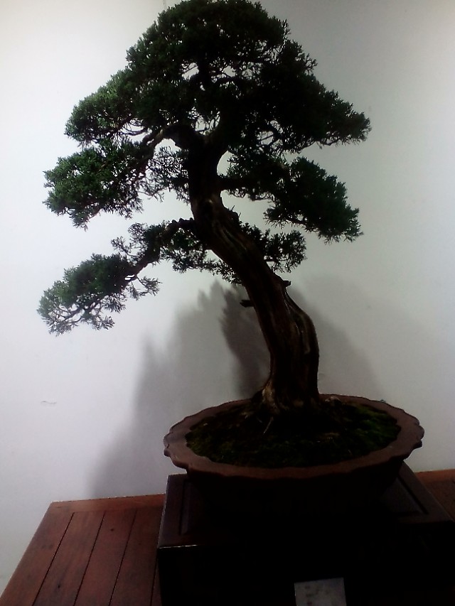 《六国论》文言训练（教师版）