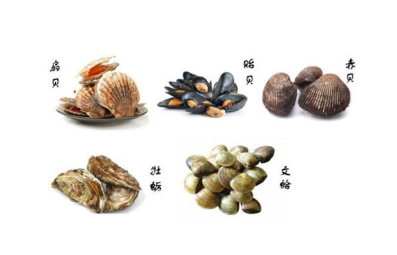 北方多地禁食海虹！毒性比眼镜蛇毒还强80倍，为何不直接禁止？