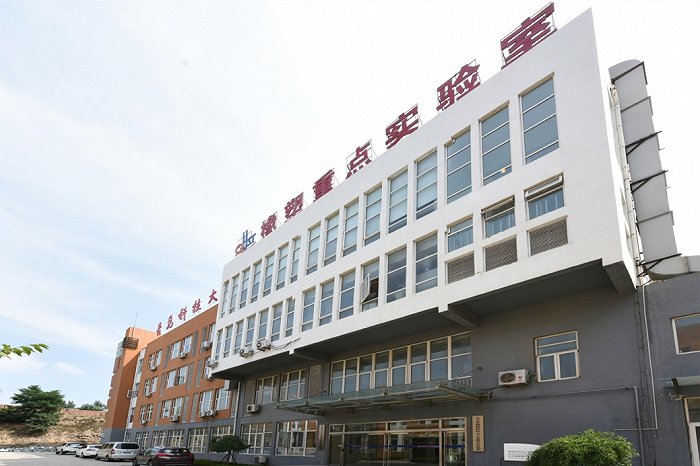 双一流扬帆，山东高校的“青科大力量”