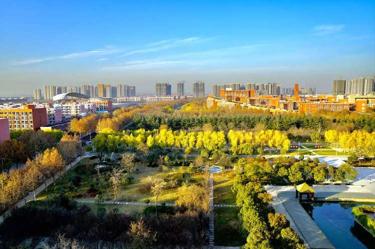 郑州大学医学科学院（最近）