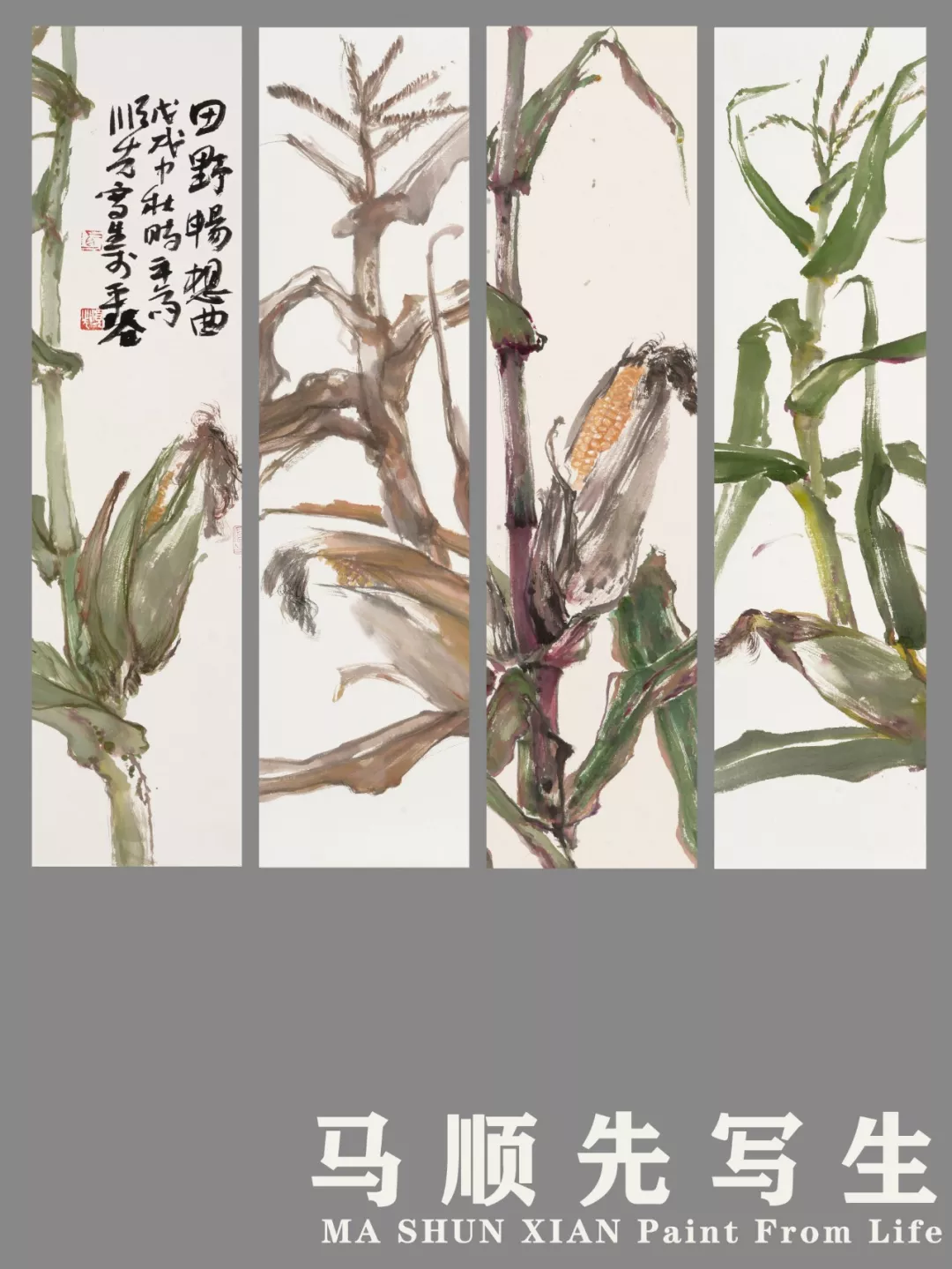 田野畅想曲 | 马顺先的玉米写生