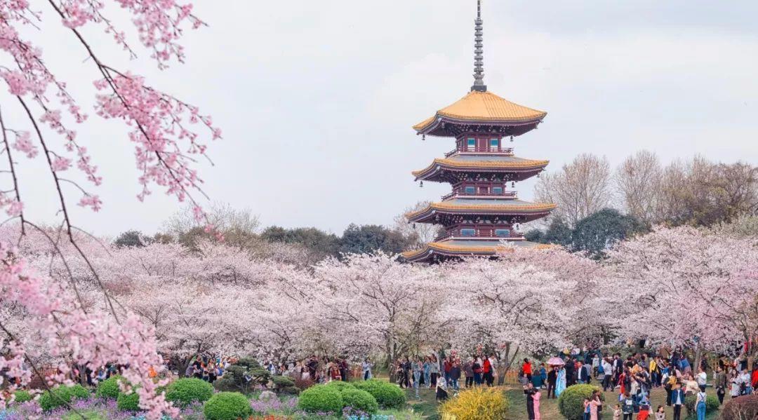 学校的风景（国内那些风景如画的大学）