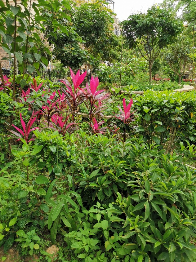 旅行印记：看到一片景，想起一句千古名言，还有木心老师一句话