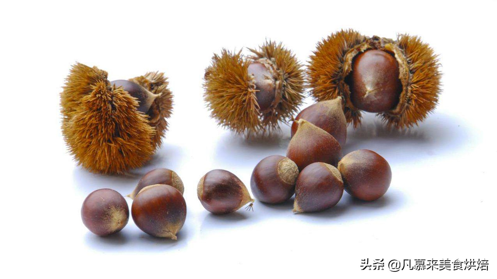 坚果类食品有哪些？25种坚果大全你都认识吗？坚果的吃法有哪些