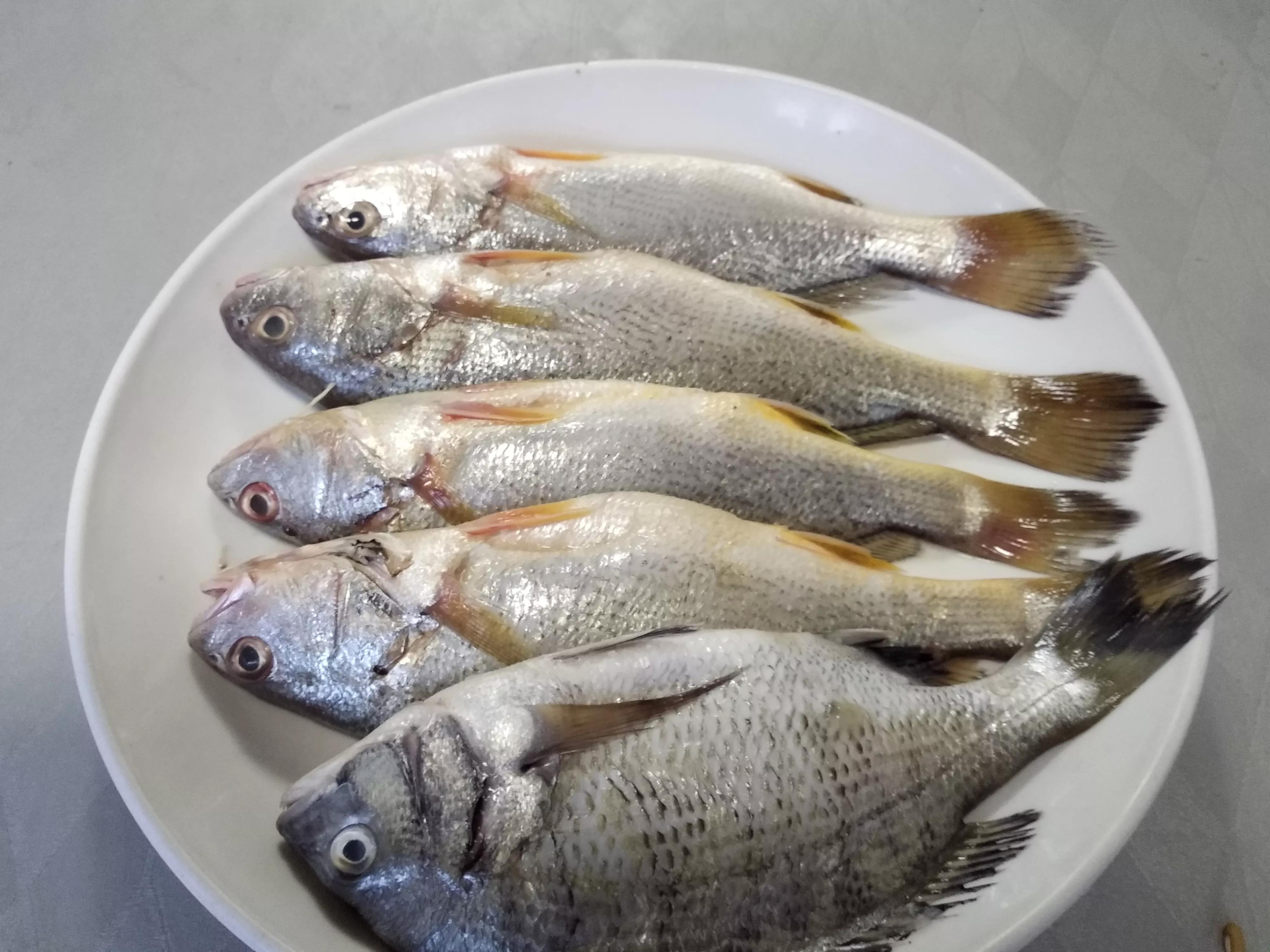 小雪前后,海鲜市场上常见的10种海鱼,鱼贩:现在正肥,要吃抓紧