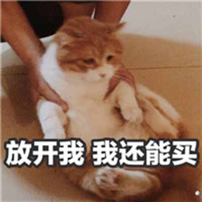 猫咪表情包：什么，你要帮我清空购物车