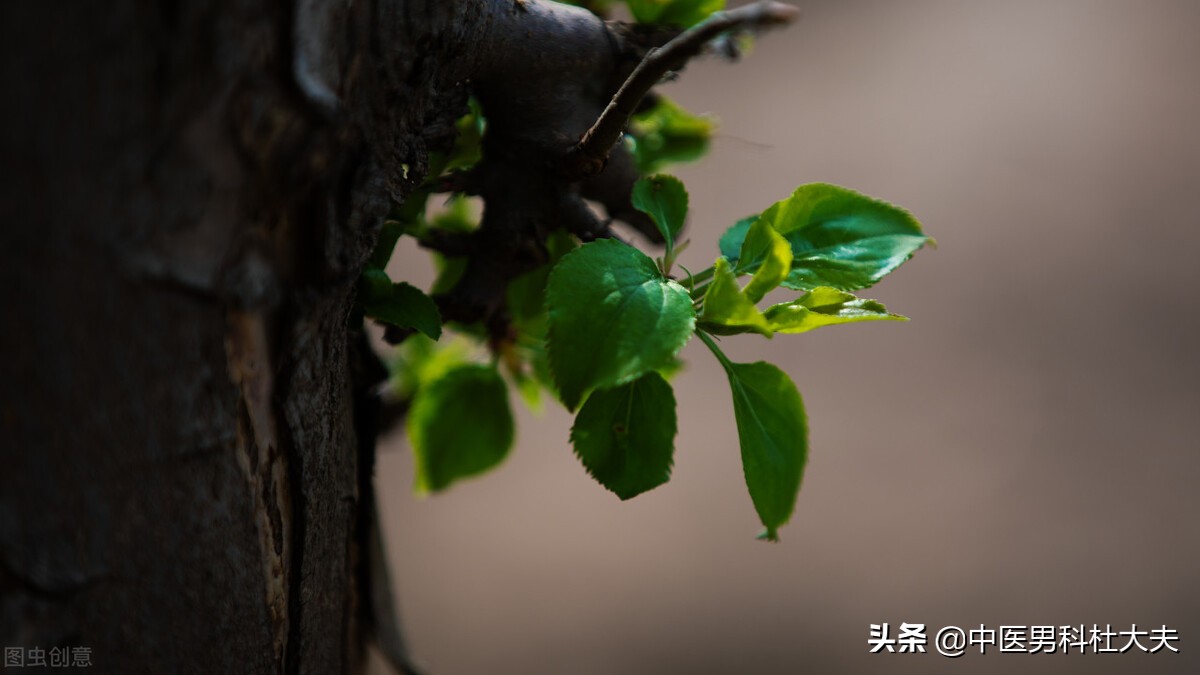 畏寒怕冷，脚心出汗，经常干呕型肾虚，中医如何调理？
