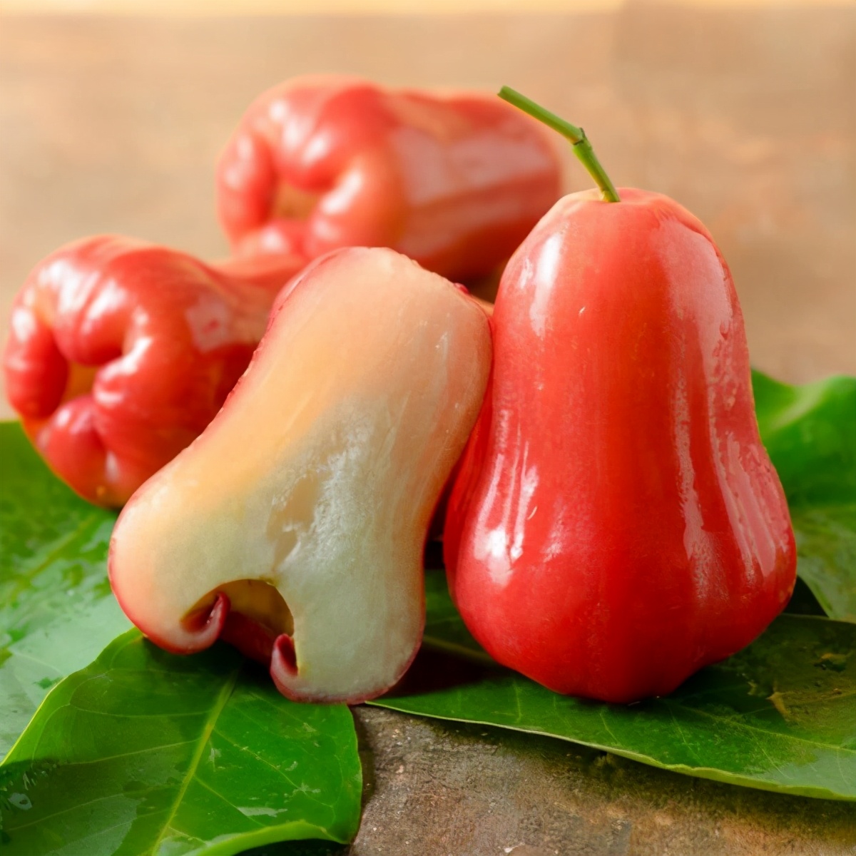 莲雾什么味道莲雾什么味道好吃吗