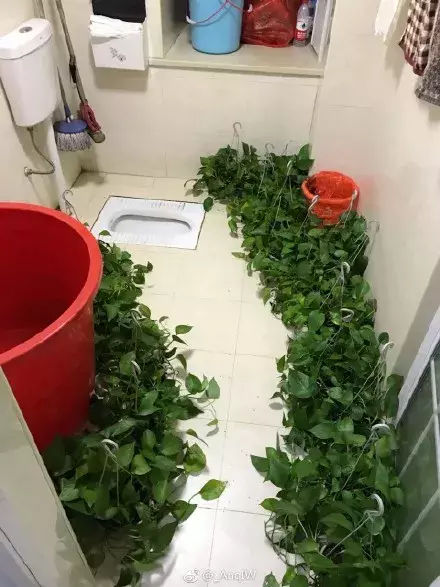 装修没到位,亲人两行泪!记录那些年被爸妈装修支配的恐惧
