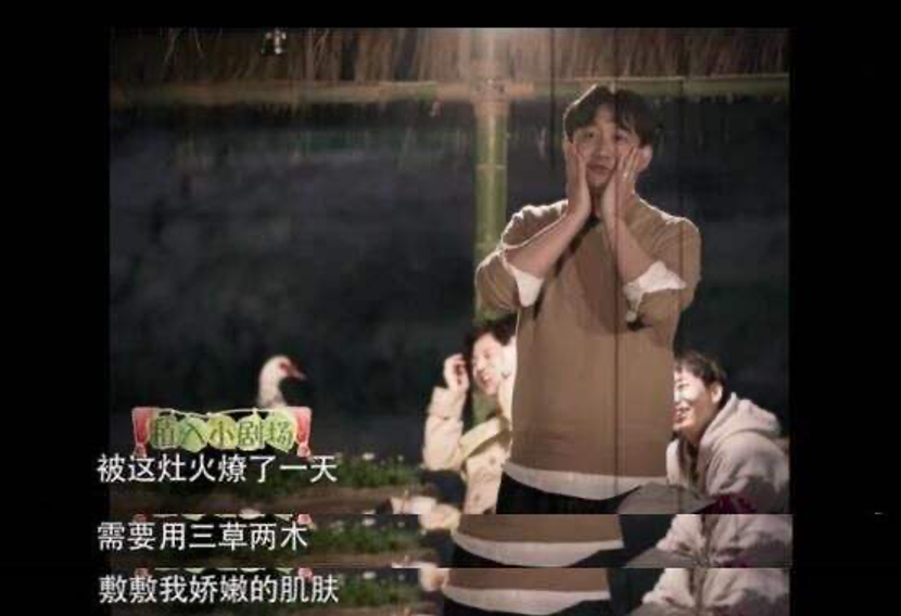 从一叶子到梵蜜琳，微商进击综艺界的背后