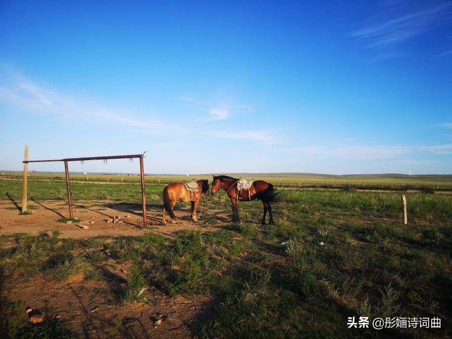 花在草原诗在心：金秋内蒙之旅古典诗词曲拾零悠情