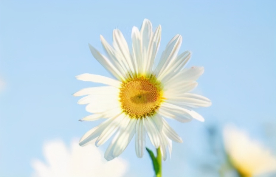 余生愿你：累了有人疼，难过有人懂，伤心有人拥