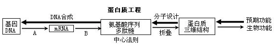 基因工程的核心步骤（带你深入了解基因工程）