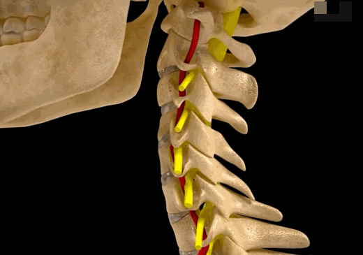 颈椎病患者能不能做"米"字操?