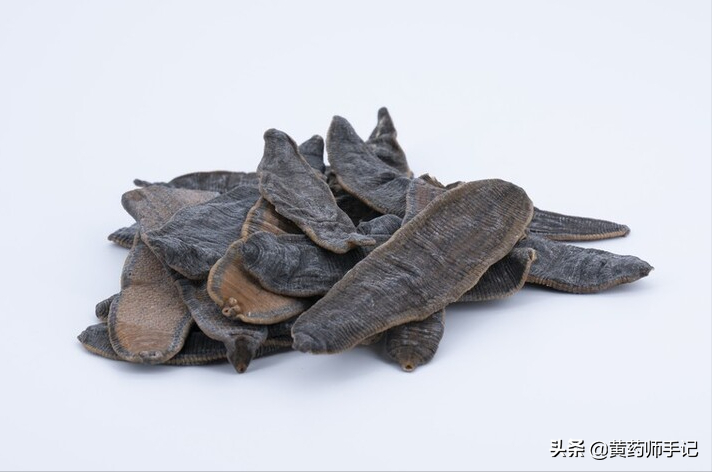水蛭粉的用法与用量(水蛭粉的功效与作用)