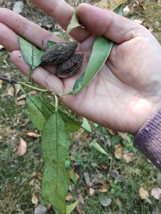 《好奇心》:知识的沃土才能更好地让好奇心开花结果