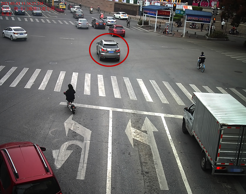 交通违法曝光！