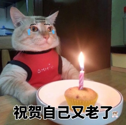 生日蛋糕表情包合集｜祝你生日快乐