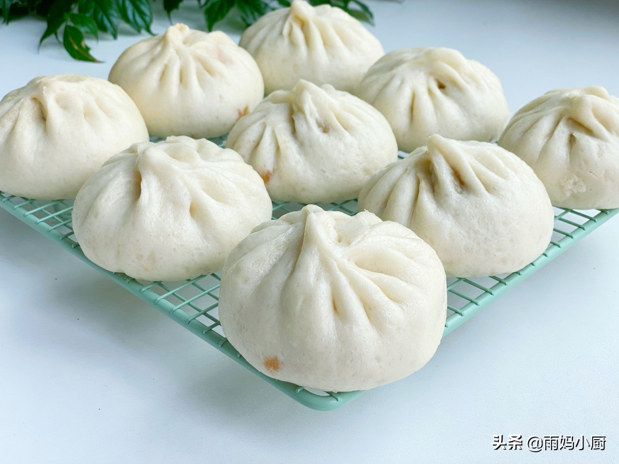香菇木耳猪肉包子的家常做法，1次发酵真省事，外皮暄软馅料多汁